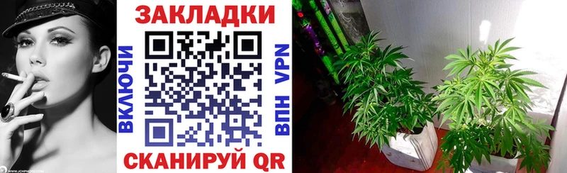 Купить наркотики Волхов Бутират  Меф мяу мяу  Alpha-PVP  ГАШИШ  КОКАИН  Каннабис 