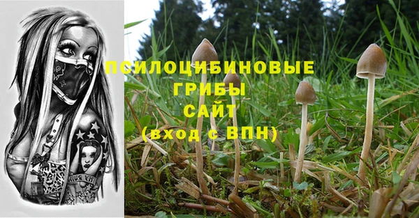 круглые Алексеевка