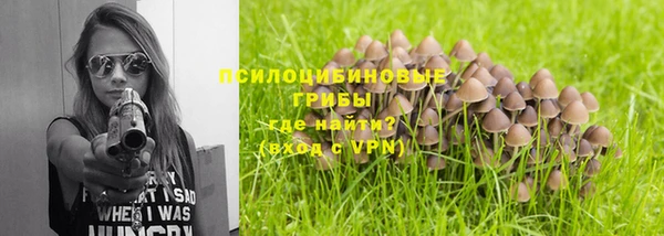 МДПВ Аркадак