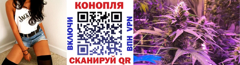 МЕГА как войти  Волхов  МАРИХУАНА White Widow  где купить наркоту 